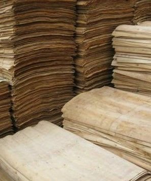 Sawmill processing operations