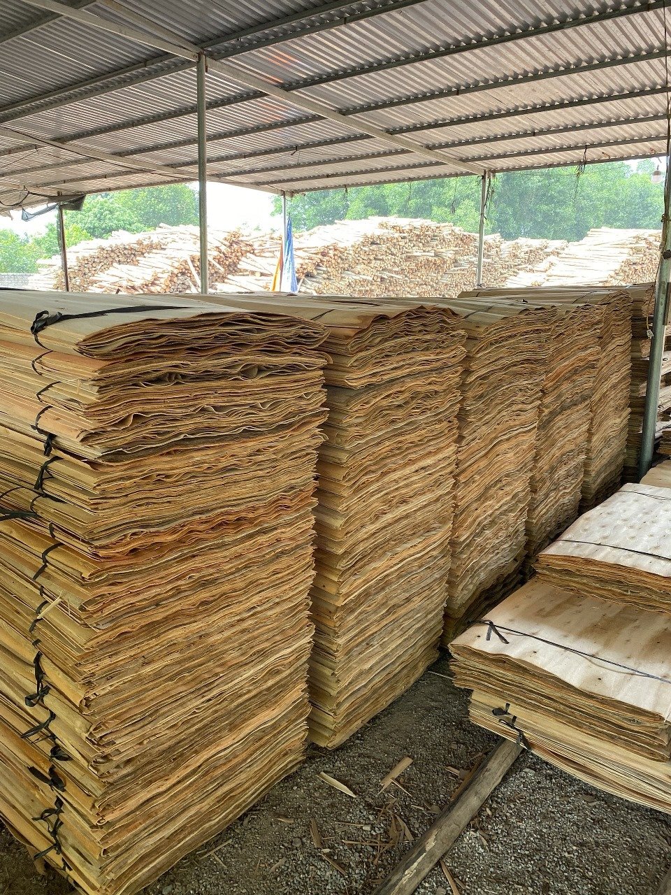 Veneer and plywood sheets